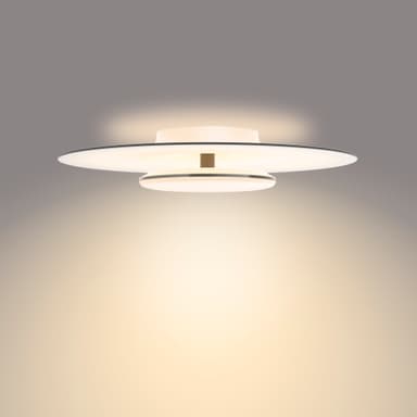 Philips Garnet kattovalaisin 40 W