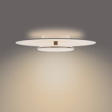 Philips Garnet kattovalaisin 40 W