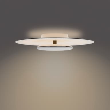 Philips Garnet kattovalaisin 40 W