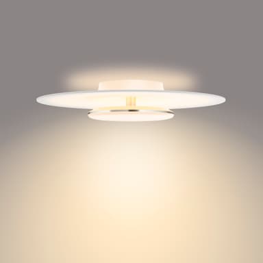 Philips Garnet kattovalaisin 40 W