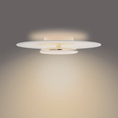 Philips Garnet kattovalaisin 40 W