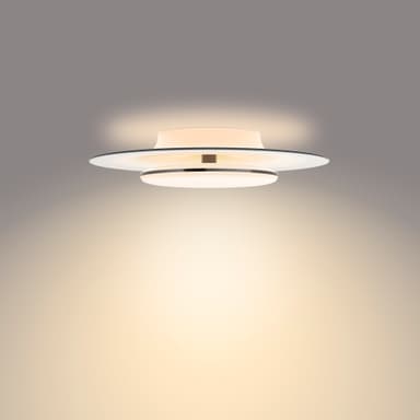 Philips Garnet kattovalaisin 30 W