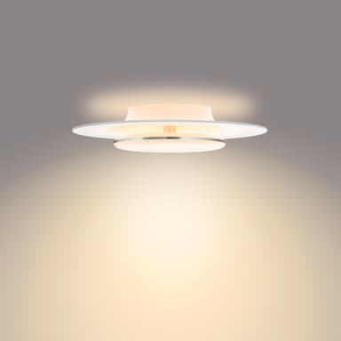 Philips Garnet kattovalaisin 30 W