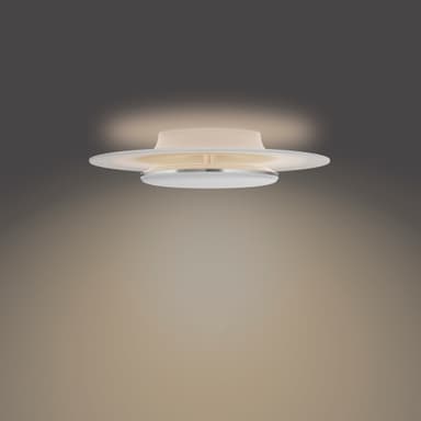 Philips Garnet kattovalaisin 30 W