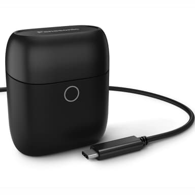 True Wireless In-Ear Black