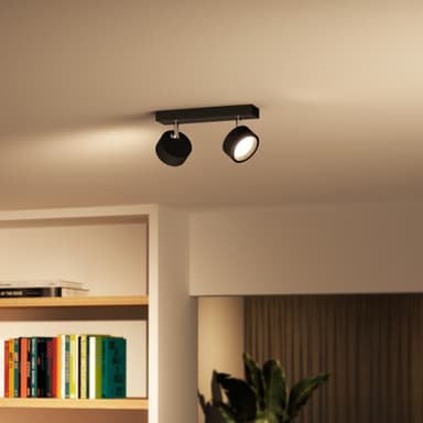 Philips Bracia spottivalaisin 11 W