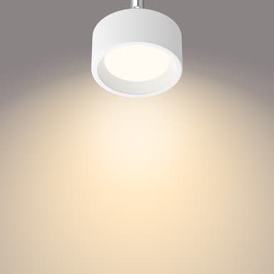 Philips Bracia spottivalaisin 5,5 W