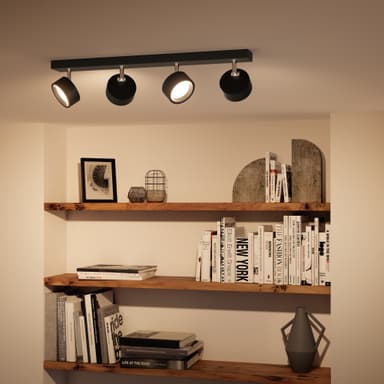 Philips Bracia spottivalaisin 22 W
