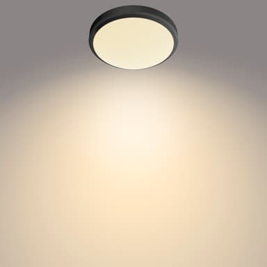 Philips Doris kattovalaisin 6 W