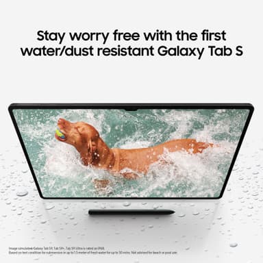 Samsung Galaxy Tab S9 WiFi tabletti 12/256GB (grafiitti)