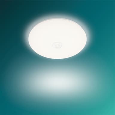 Philips Mauve kattovalaisin 16 W