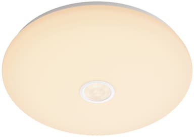 Philips Mauve kattovalaisin 16 W