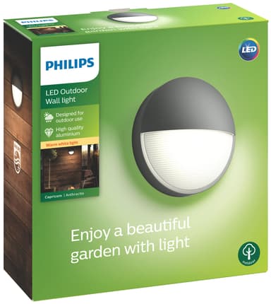 Philips Capricorn ulkoseinävalaisin E27