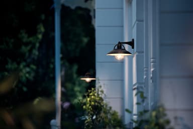 Philips Cormorant seinälyhty 42 W E27
