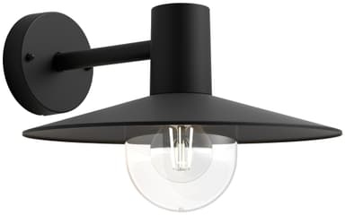 Philips Skua seinälyhty 42 W E27