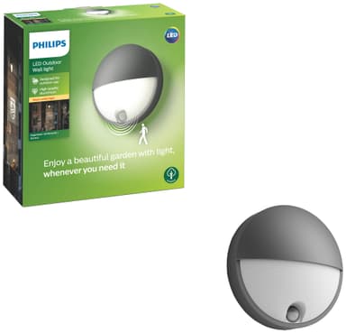Philips Capricorn seinälyhty 5,5 W