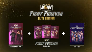 AEW: Fight Forever Elite Edition - PC Windows