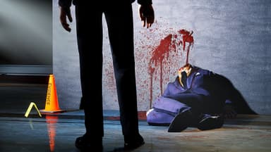 Vampire: The Masquerade – Swansong - PC Windows