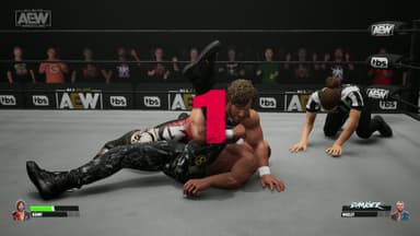 AEW: Fight Forever Elite Edition - PC Windows