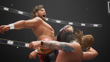 AEW: Fight Forever Elite Edition - PC Windows