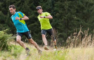 Garmin Fenix 3 HR urheilukello (hopea)