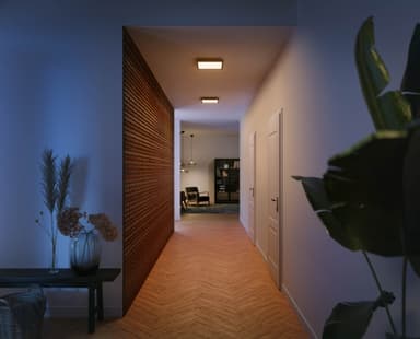 Philips Hue Aurelle paneelivalaisin SQ musta 19 W