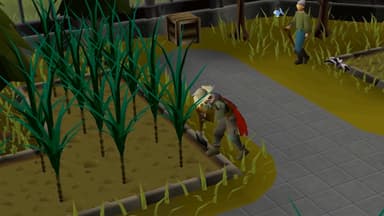 Old School RuneScape 6-Month Membership + OST - PC Windows,Mac OSX