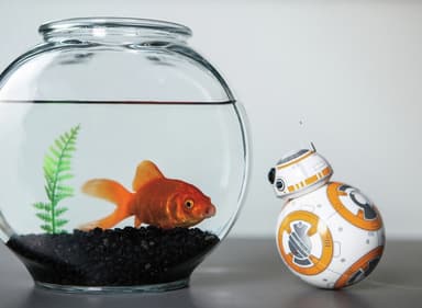 Sphero BB-8 Star Wars droidi-robotti