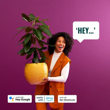 WiZ Connected aloituspakkaus 8,5 W IP44
