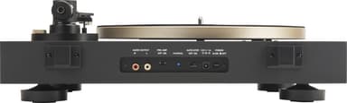 JBL Spinner BT levysoitin (musta/kulta)