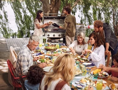Weber Genesis II E410 kaasugrilli 62010169
