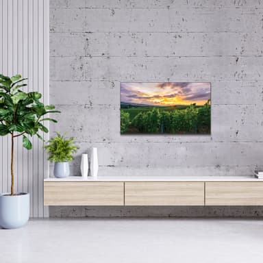 Thomson 50" QA2S13 4K QLED älytelevisio (2023)