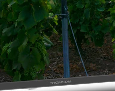 Thomson 50" QA2S13 4K QLED älytelevisio (2023)