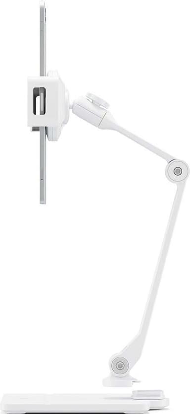 Twelve South HoverBar Duo iPad tablettiteline (valkoinen)