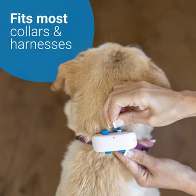  Tractive DOG LTE koiran GPS-paikannin (valkoinen)