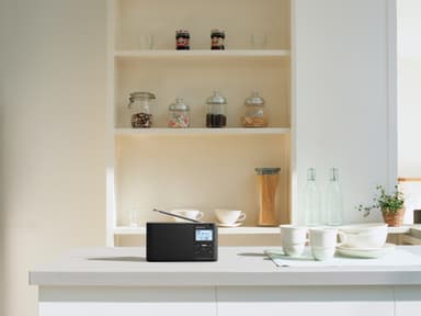 Sony kannettava radio XDR-S41D (musta)
