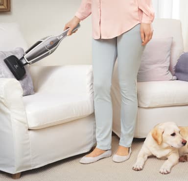 Electrolux Ergorapido johdoton varsi-imuri ZB3225POW