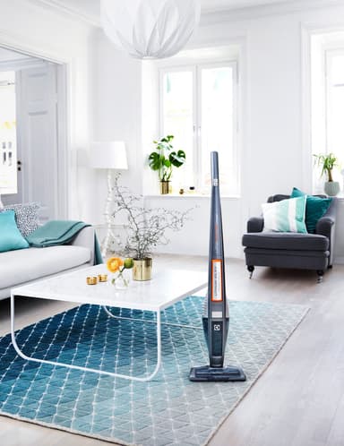 Electrolux UltraPower johdoton varsi-imuri ZB5022