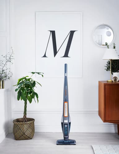 Electrolux UltraPower johdoton varsi-imuri ZB5022