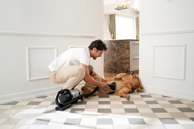 Nilfisk S1 Pet Care johdoton varsi-imuri 128390168 (musta)