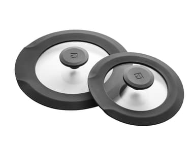 Electrolux Höyryventtiilikannet E9HOSM