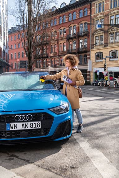 Karcher EDI 4 sähköinen jääraspi 159890000