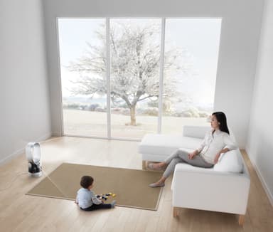 Dyson ilmankostutin AM10