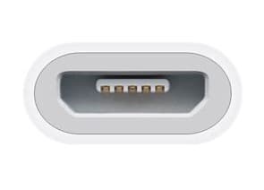 Apple Lightning - Mikro USB adapteri MD820