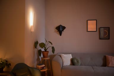 Philips Hue White & Colour Liane seinävalaisin 4090231P7 (valkoinen)