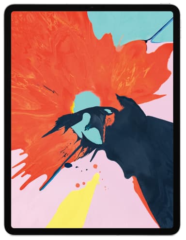 iPad Pro 12,9