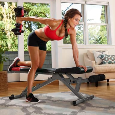 Bowflex 522i Selecttech Dumbbell 2-24 kg (Single)