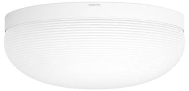 Philips Hue White & Colour Ambiance Flourish kattovalaisin 4090531P7