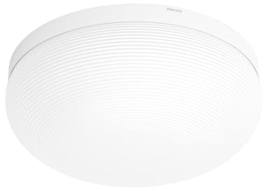 Philips Hue White & Colour Ambiance Flourish kattovalaisin 4090531P7