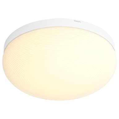 Philips Hue White & Colour Ambiance Flourish kattovalaisin 4090531P7